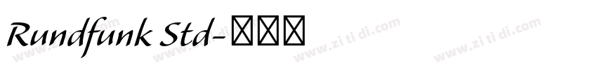 Rundfunk Std字体转换